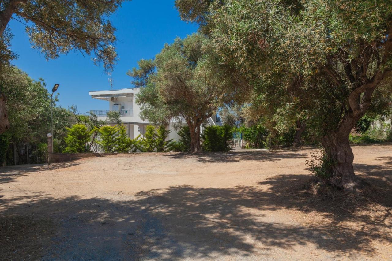 Althea Suites By Rentalspro Services - Nea Moudania Halkidiki Экстерьер фото